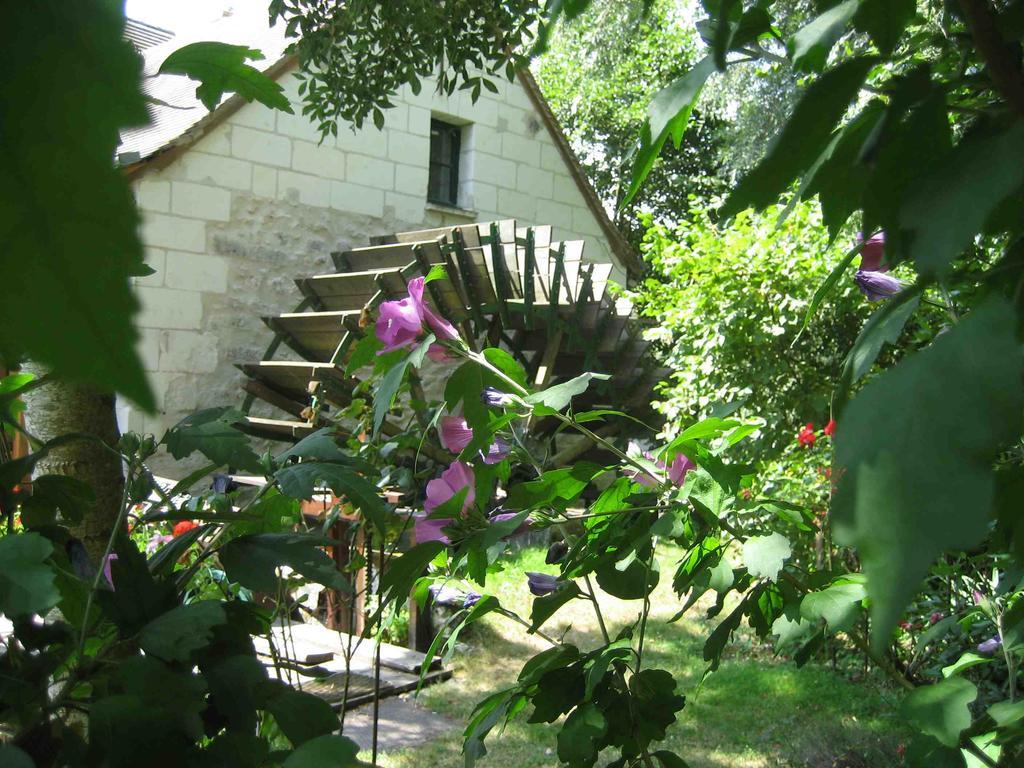 Bed and Breakfast Le Moulin Des Foulons à Chédigny Extérieur photo